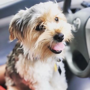 Meet your Posher, Kiana